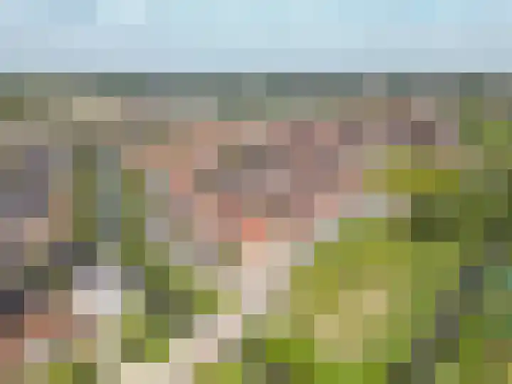 Graslelie 1 Katwijk thumbnail 34