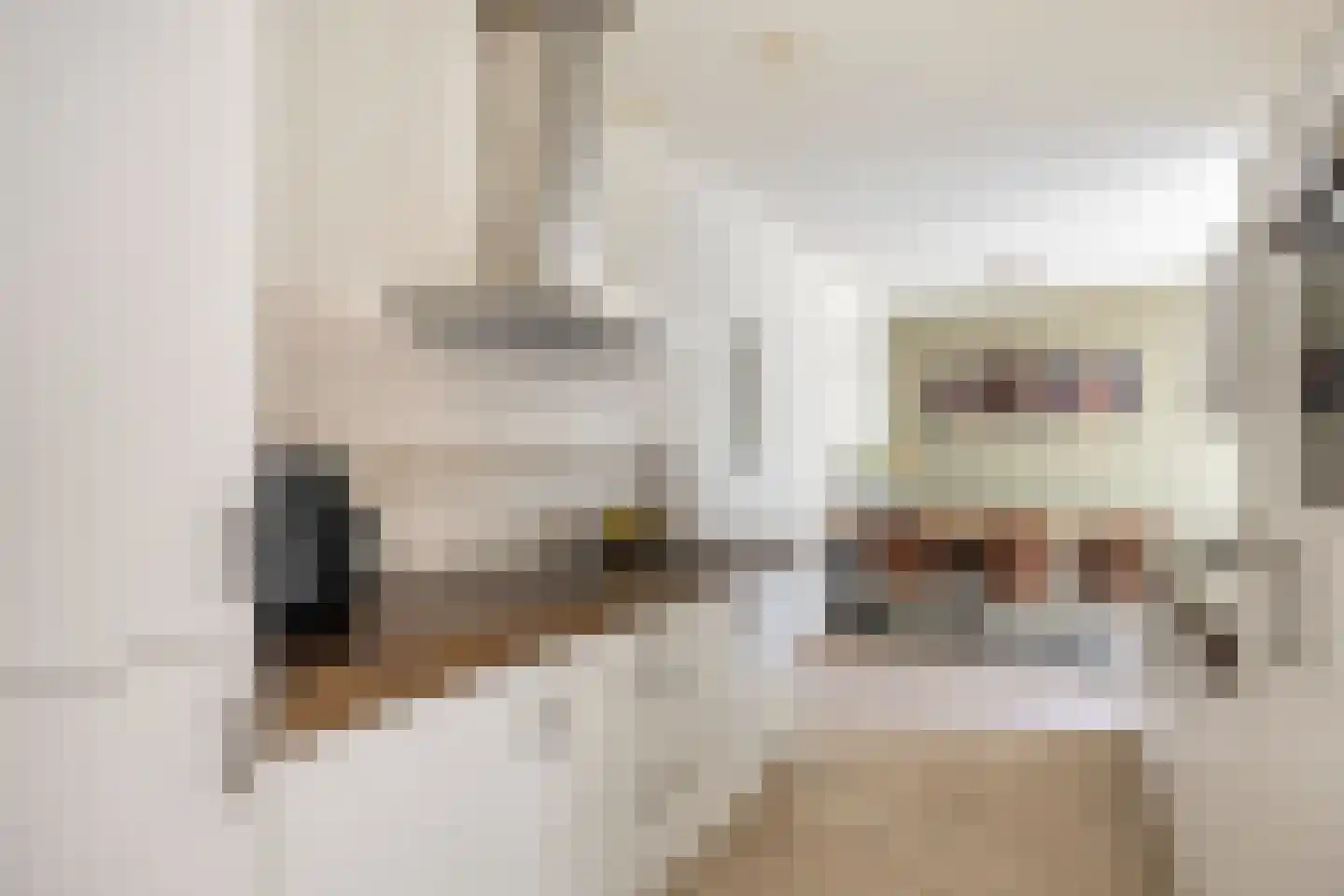 Graslelie 11 Eindhoven thumbnail 10