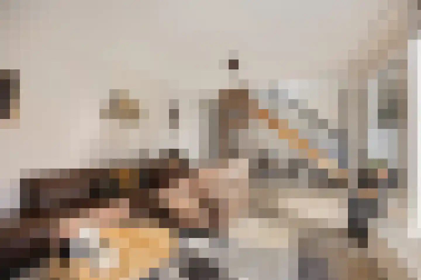 Graslelie 11 Eindhoven thumbnail 4