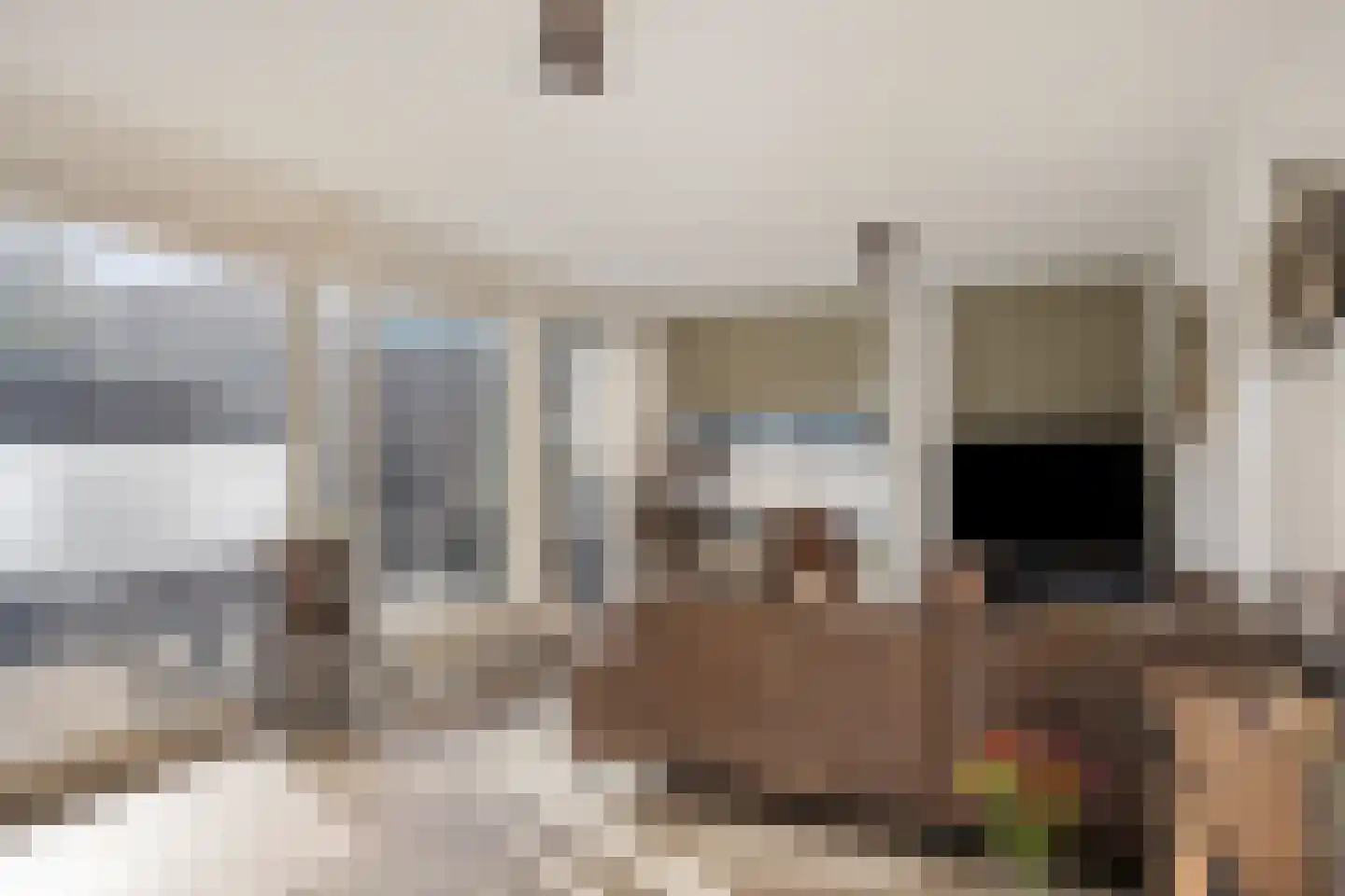 Graslelie 11 Eindhoven thumbnail 6