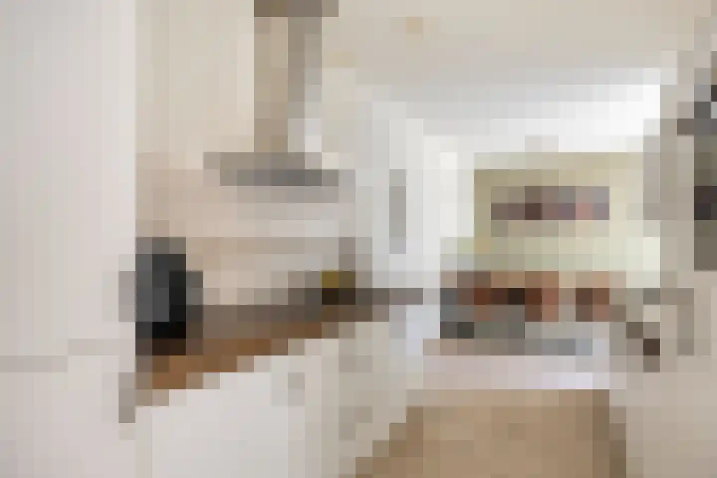 Graslelie 11 Eindhoven thumbnail 7