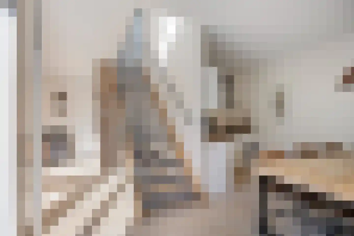 Graslelie 11 Eindhoven thumbnail 8