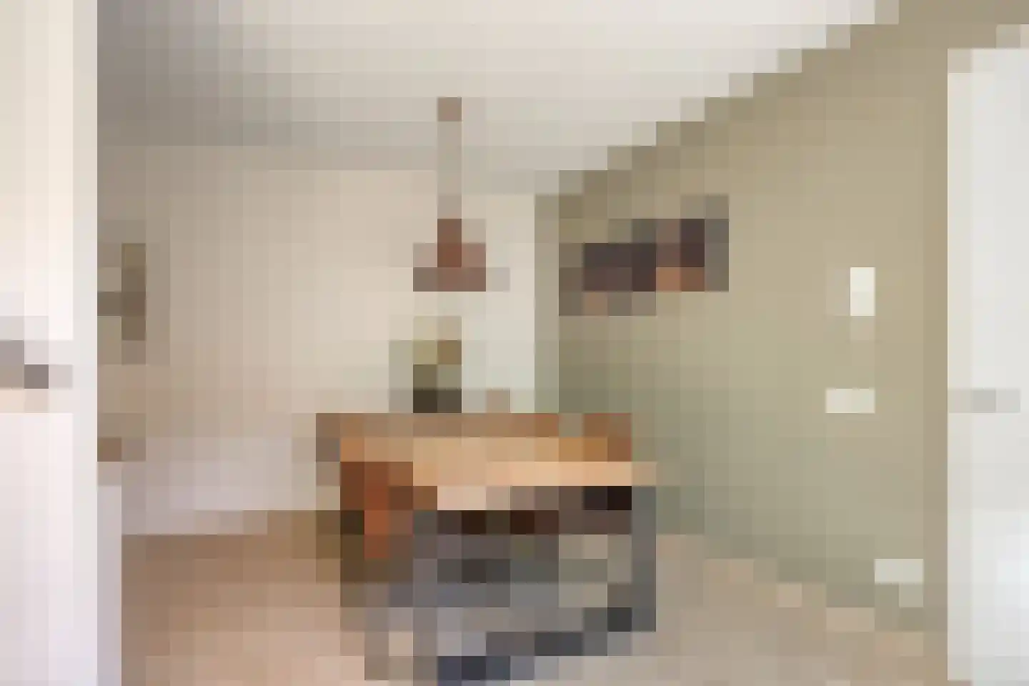 Graslelie 11 Eindhoven thumbnail 9