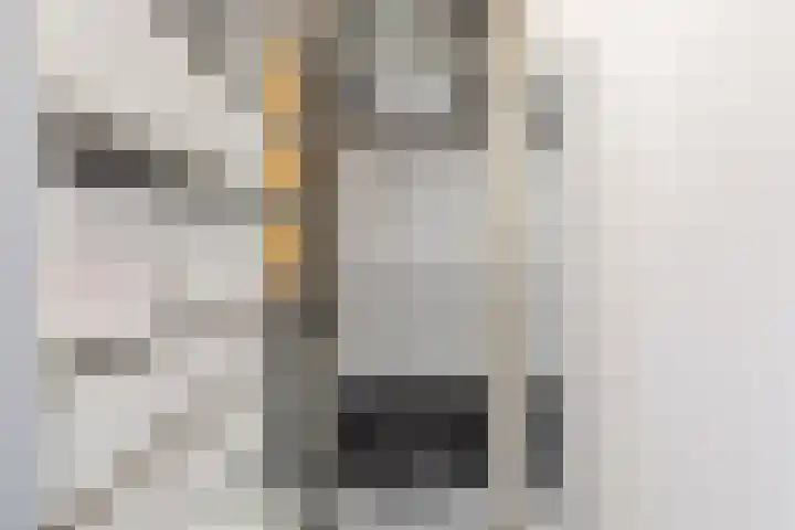 Graslelie 3 Eindhoven thumbnail 18