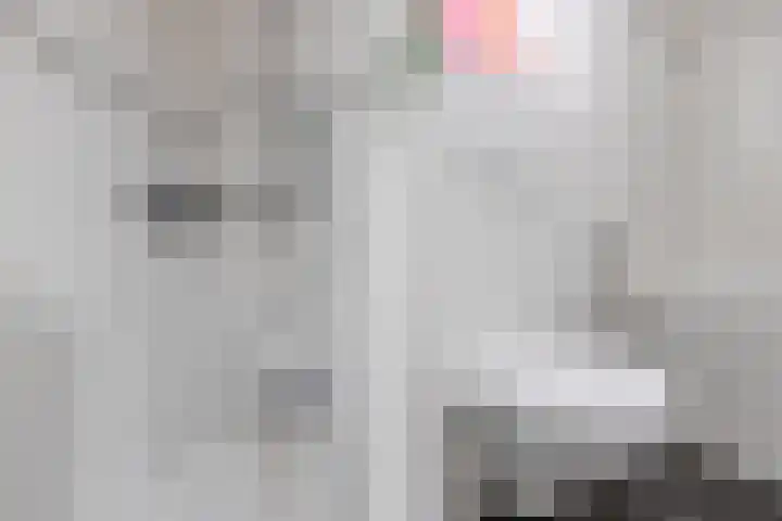 Graslelie 3 Eindhoven thumbnail 21
