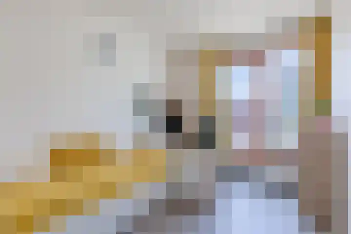 Graslelie 3 Eindhoven thumbnail 24