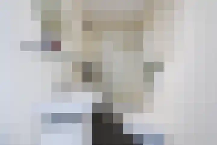 Graslelie 3 Eindhoven thumbnail 26