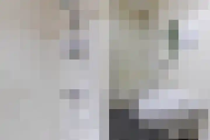 Graslelie 3 Eindhoven thumbnail 28