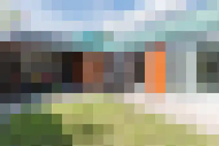 Graslelie 3 Eindhoven thumbnail 30