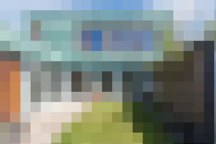 Graslelie 3 Eindhoven thumbnail 32