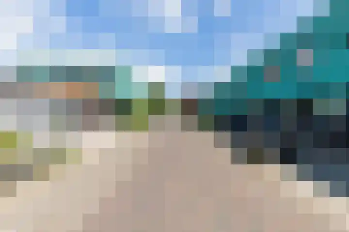 Graslelie 3 Eindhoven thumbnail 33