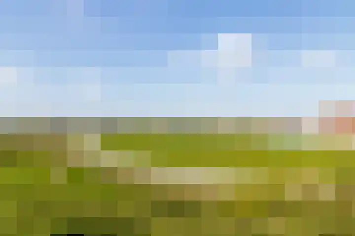 Graslelie 3 Eindhoven thumbnail 34