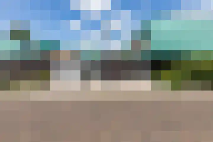 Graslelie 3 Eindhoven thumbnail 4