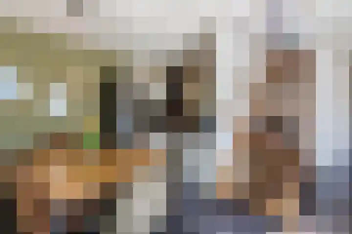 Graslelie 3 Eindhoven thumbnail 6