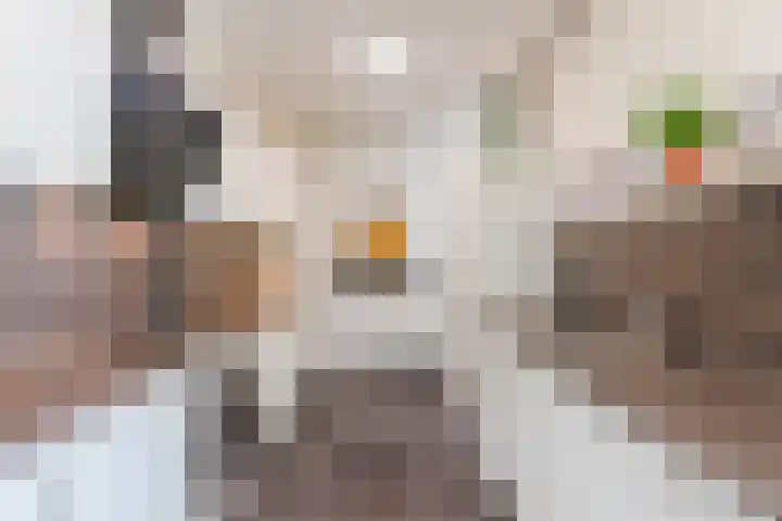 Graslelie 3 Eindhoven thumbnail 7