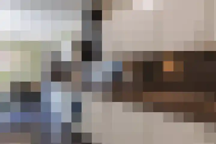 Graslelie 3 Eindhoven thumbnail 8