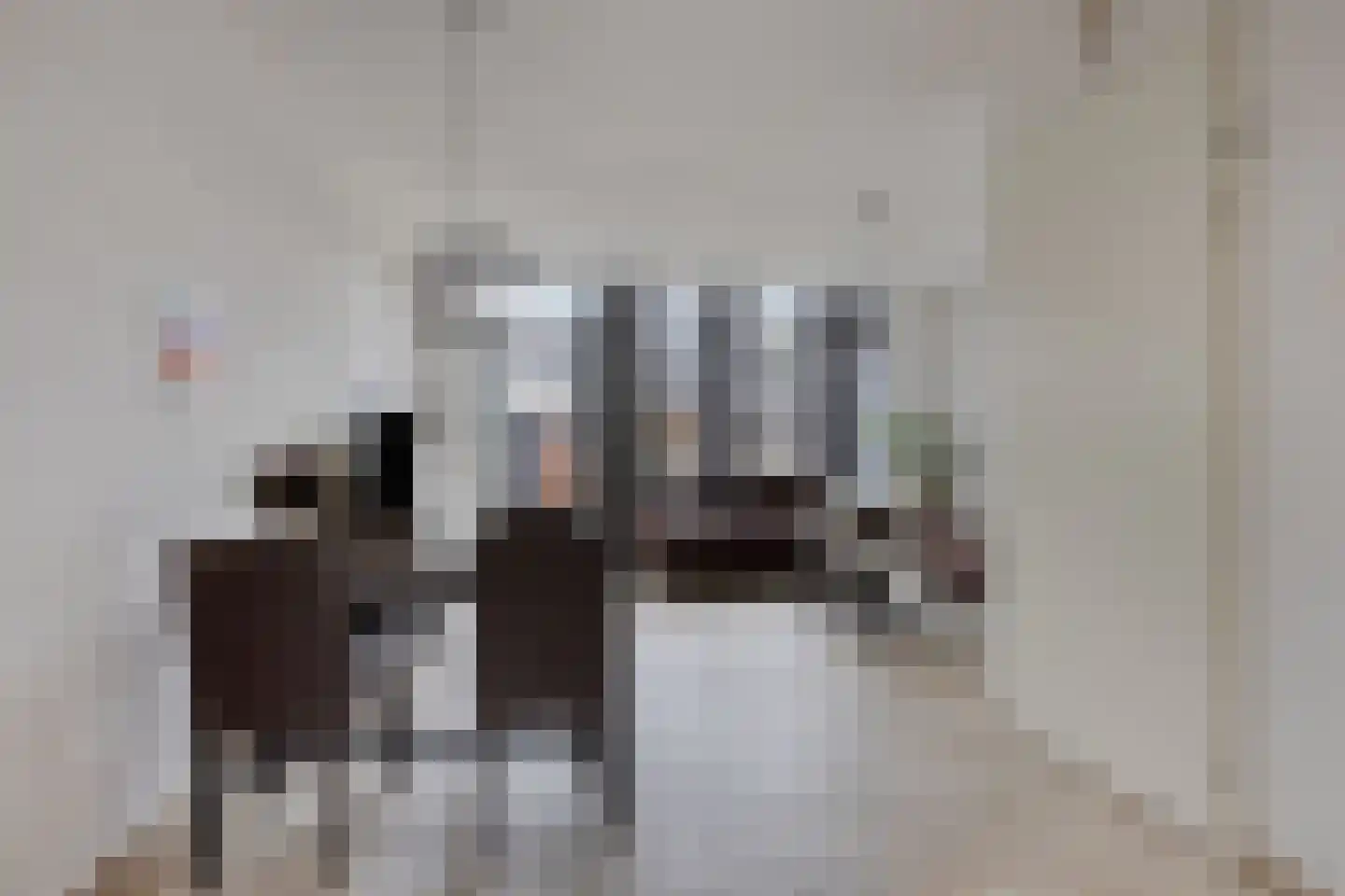 Graslelie 38 Eindhoven thumbnail 11