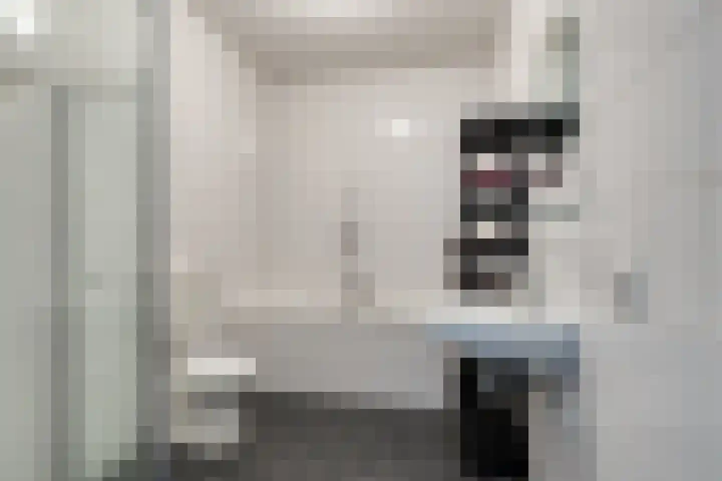 Graslelie 38 Eindhoven thumbnail 20