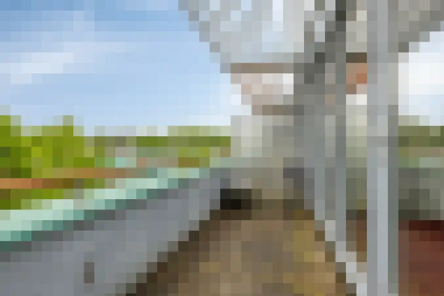 Graslelie 38 Eindhoven thumbnail 26