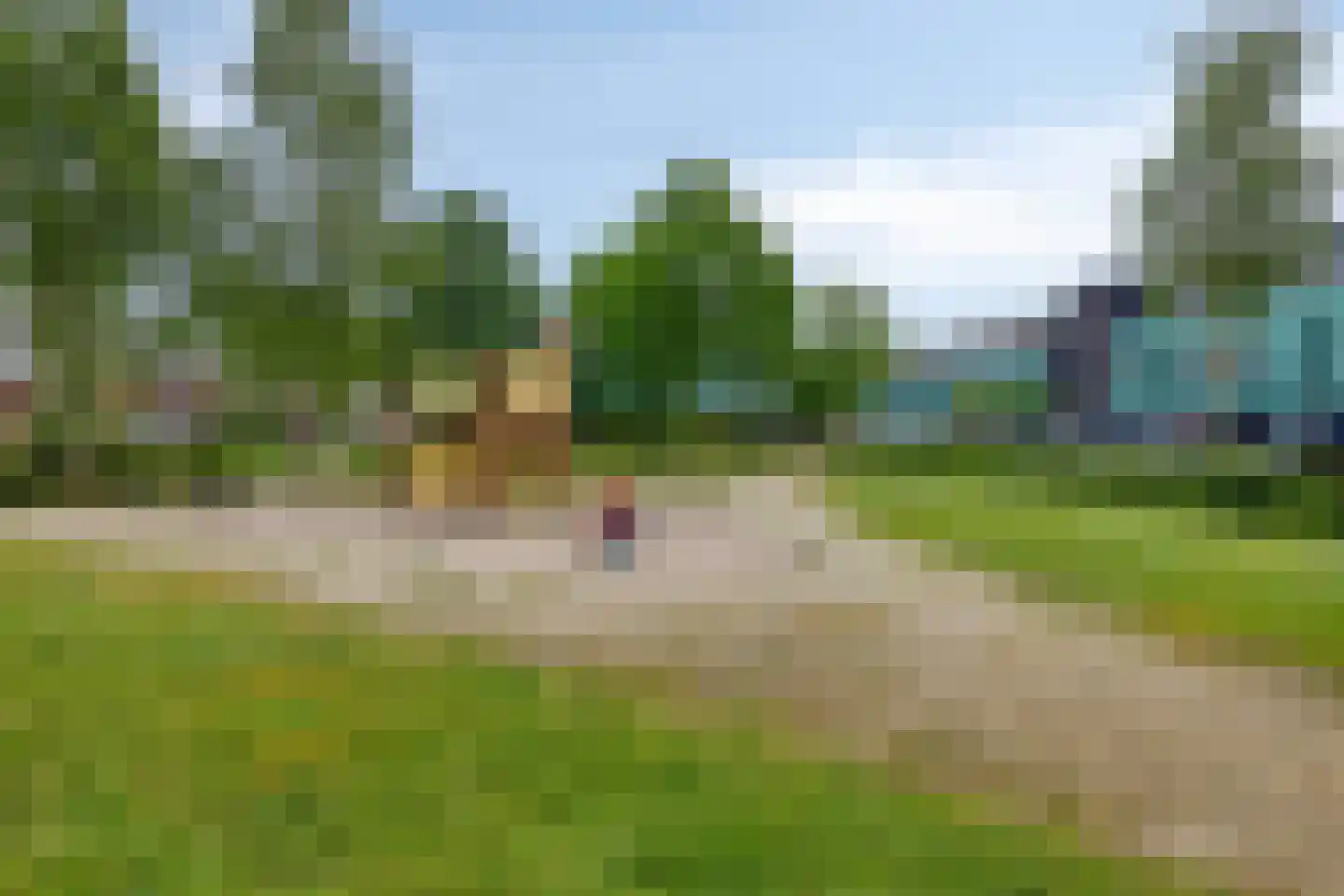 Graslelie 38 Eindhoven thumbnail 31