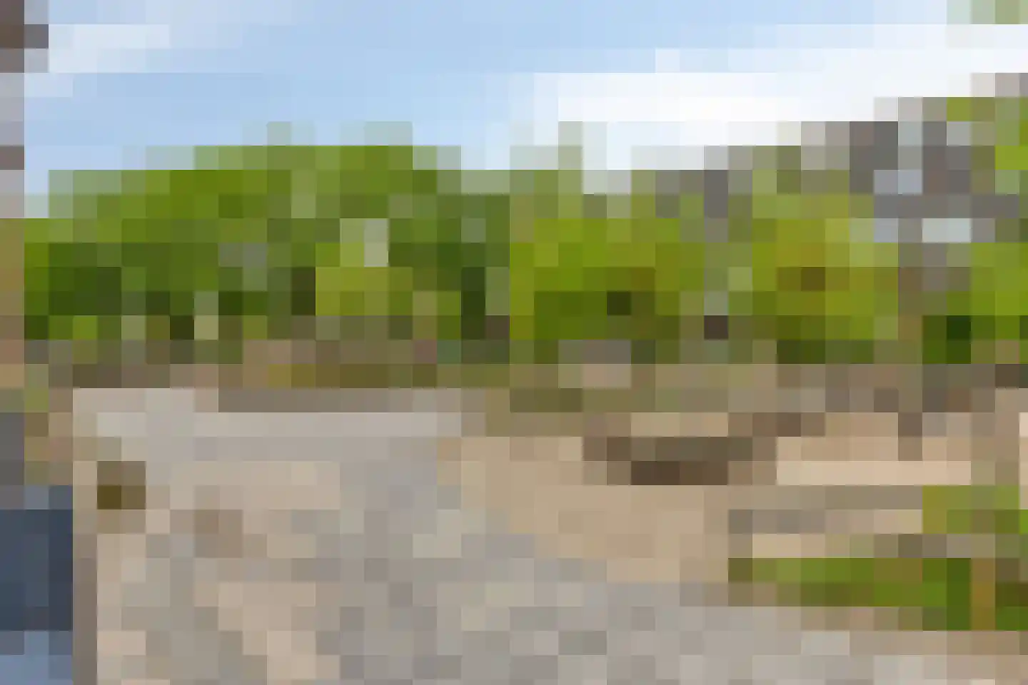 Graslelie 38 Eindhoven thumbnail 34