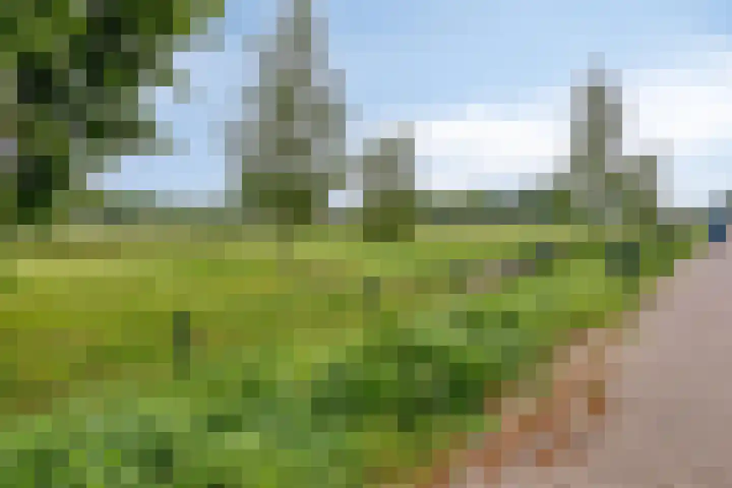 Graslelie 38 Eindhoven thumbnail 35