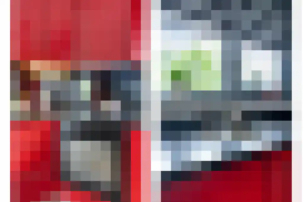 Graslelie 38 Eindhoven thumbnail 9