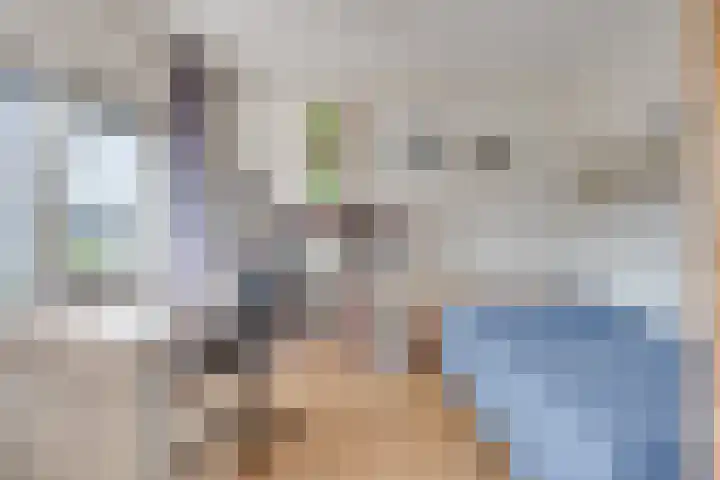 Graslelie 46 Eindhoven thumbnail 22