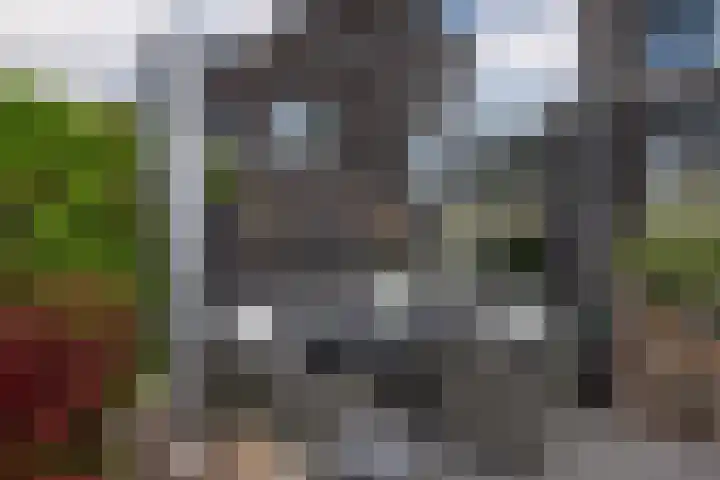 Graslelie 46 Eindhoven thumbnail 31