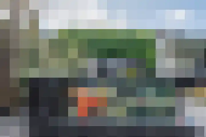 Graslelie 46 Eindhoven thumbnail 33