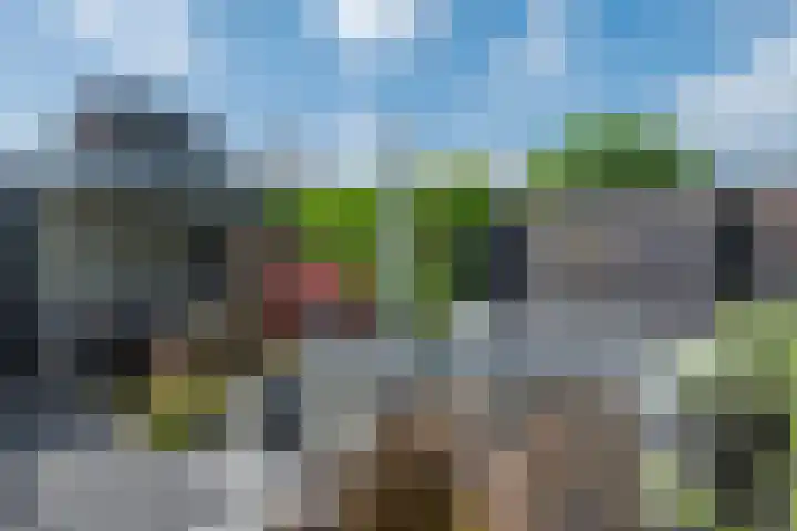Graslelie 46 Eindhoven thumbnail 36