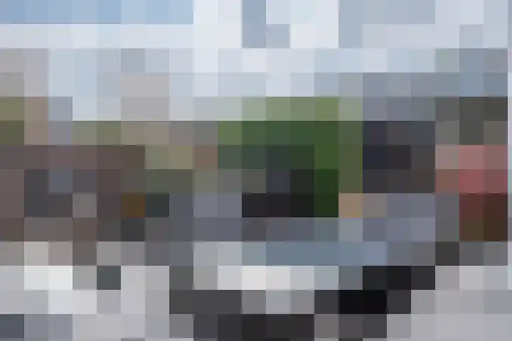 Graslelie 46 Eindhoven thumbnail 37