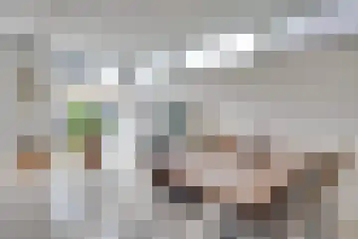 Graslelie 46 Eindhoven thumbnail 8