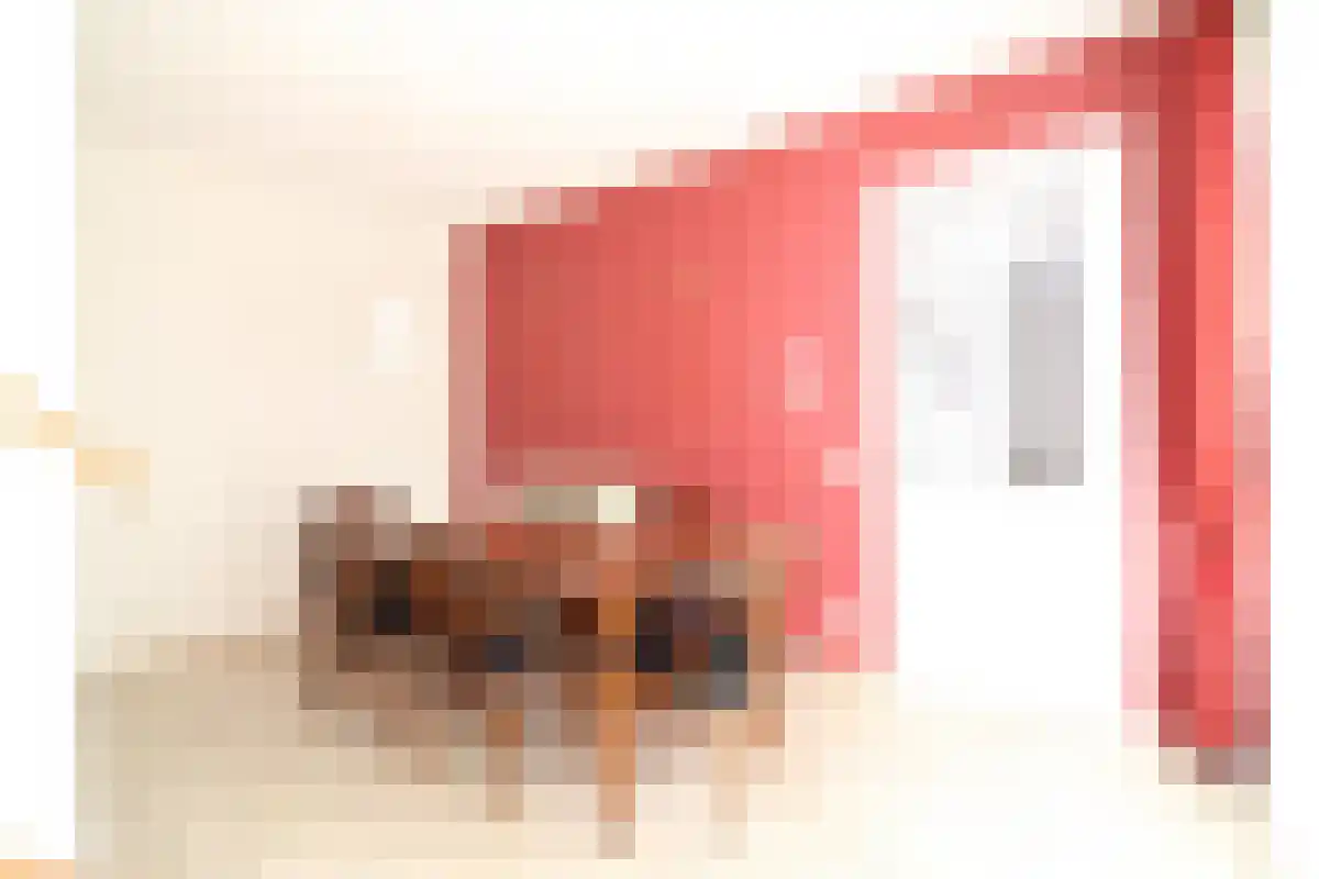 Graslelie 5 Eindhoven thumbnail 6