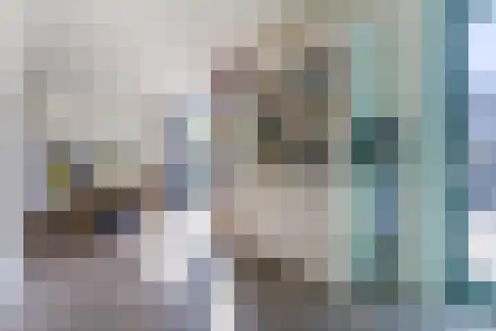 Graslelie 60 Eindhoven thumbnail 10