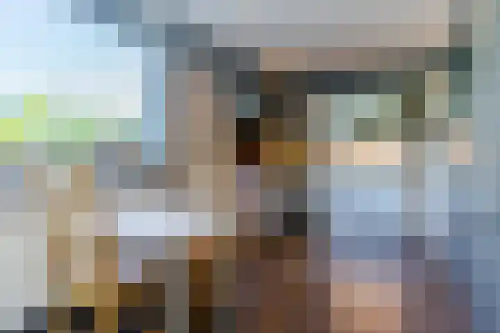 Graslelie 60 Eindhoven thumbnail 13