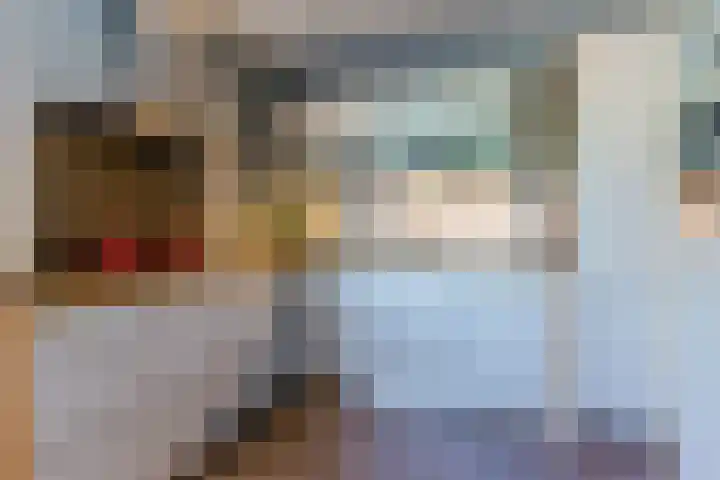 Graslelie 60 Eindhoven thumbnail 14