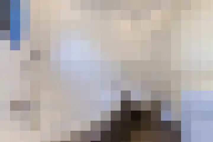 Graslelie 60 Eindhoven thumbnail 25