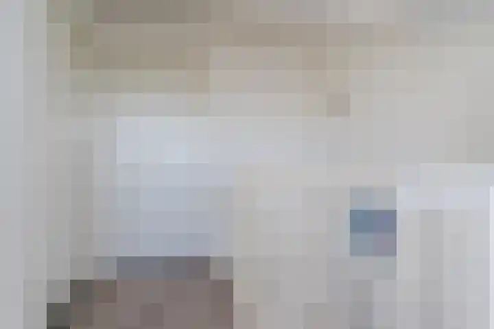 Graslelie 60 Eindhoven thumbnail 28