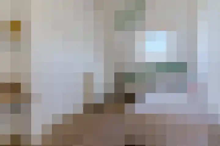 Graslelie 60 Eindhoven thumbnail 29