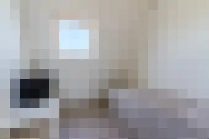 Graslelie 60 Eindhoven thumbnail 31