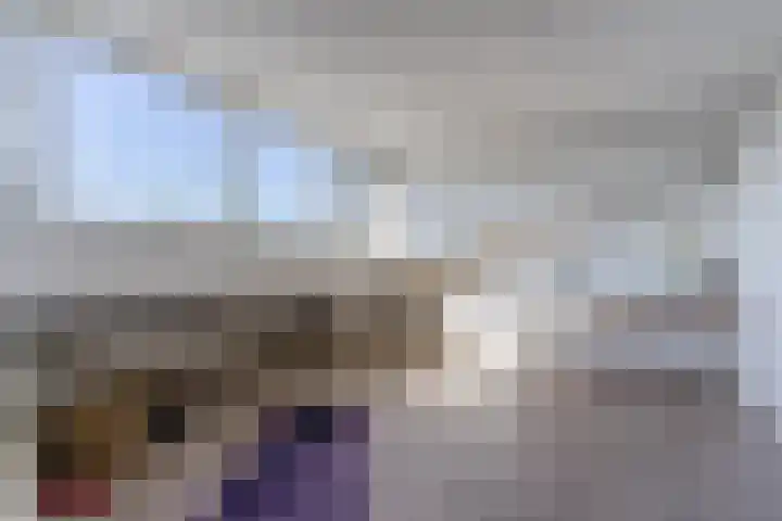 Graslelie 60 Eindhoven thumbnail 33