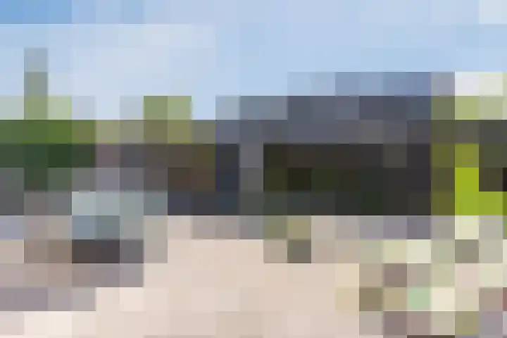 Graslelie 60 Eindhoven thumbnail 35