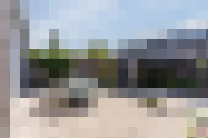 Graslelie 60 Eindhoven thumbnail 36