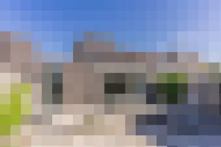 Graslelie 60 Eindhoven thumbnail 39