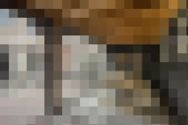 Graslelie 99 Katwijk thumbnail 35