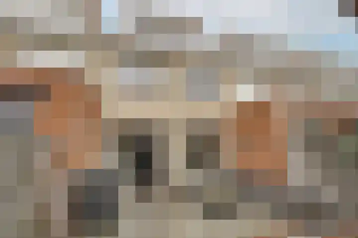 Graslelie 99 Katwijk thumbnail 37