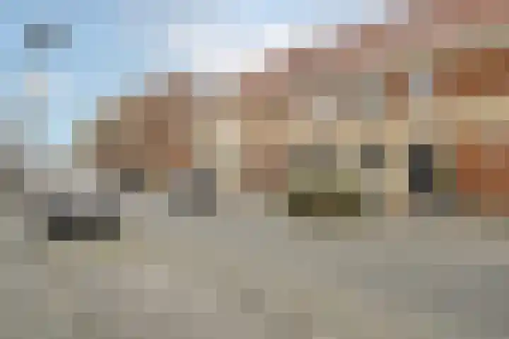Graslelie 99 Katwijk thumbnail 38