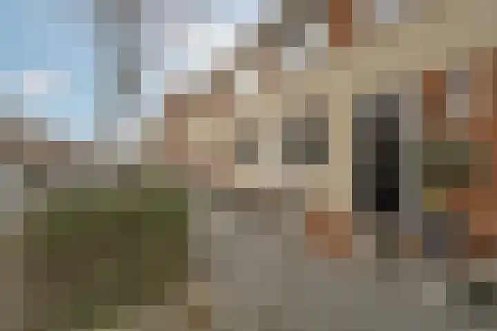 Graslelie 99 Katwijk thumbnail 5
