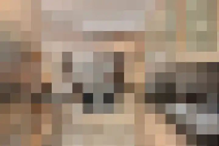 Graslinnen 24 Eindhoven thumbnail 12